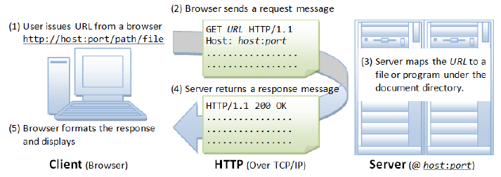 image-20250218181605486