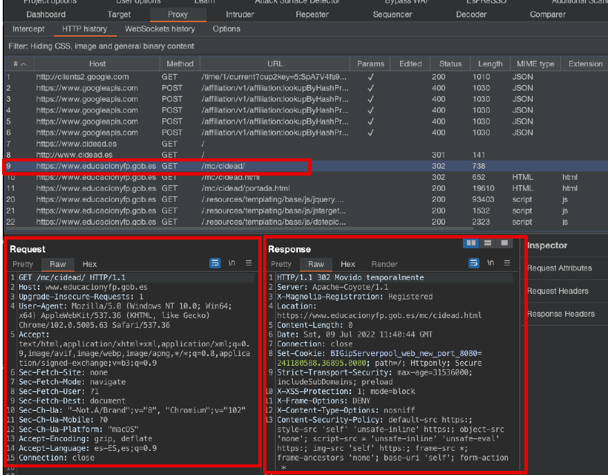 image-20250220164651753